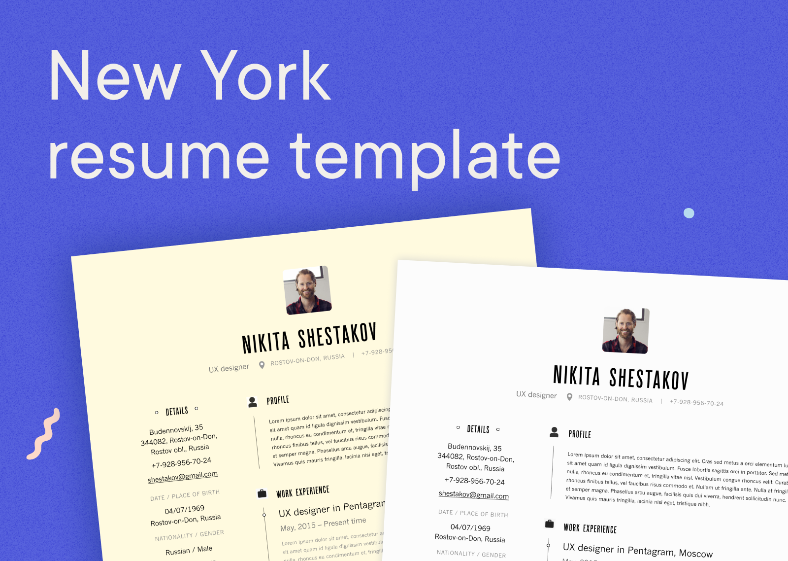 Blogs - New York resume template