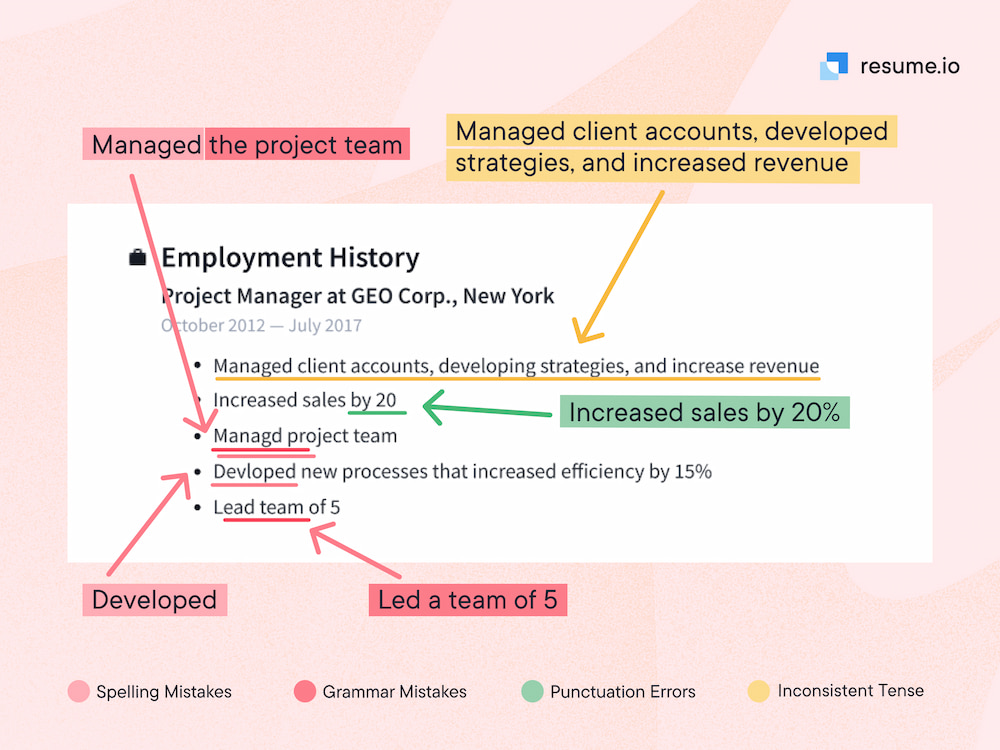 Resume grammar and spelling issues - Visualization of silly mistakes