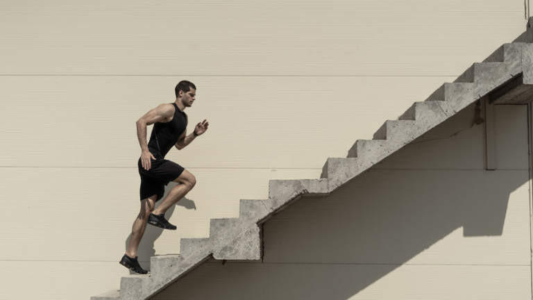 Employment History: your personal report card