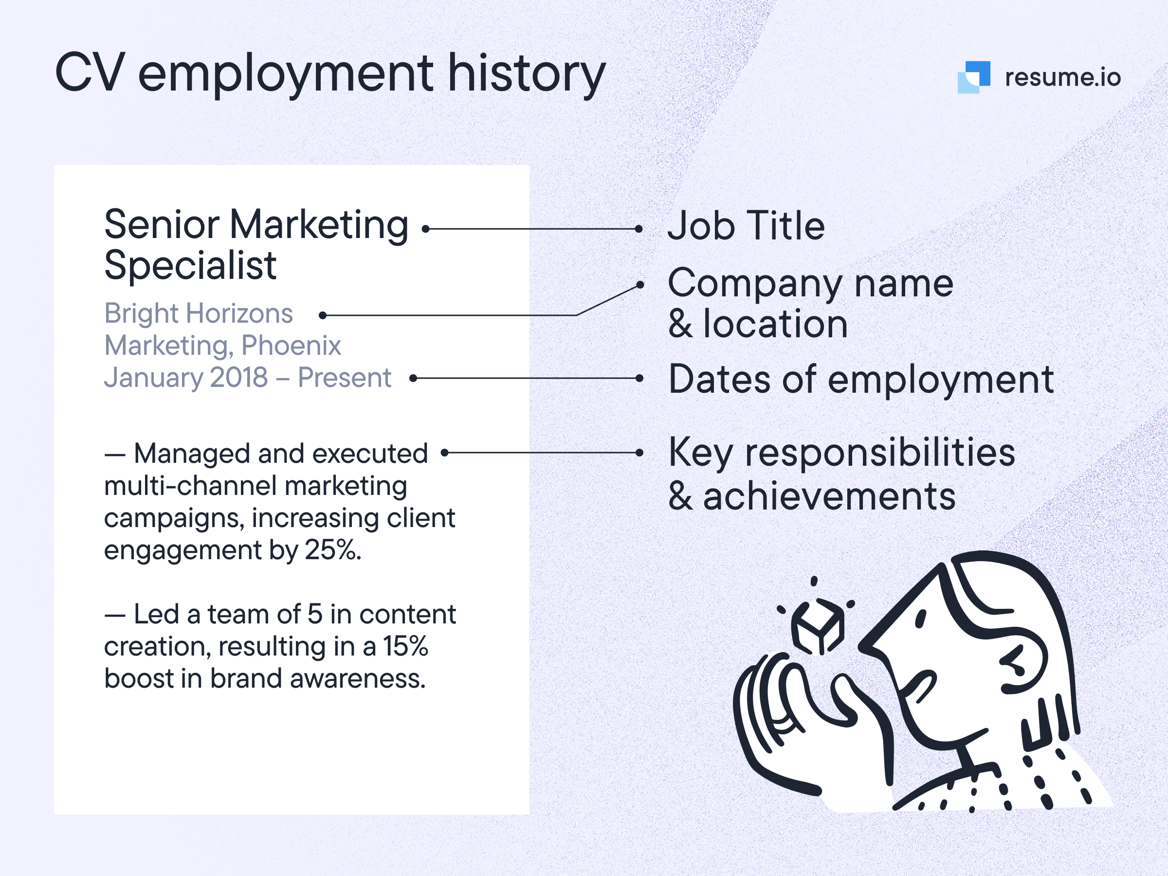 CV employment history section breakdown