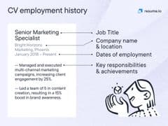 CV employment history section breakdown CV employment history section breakdown