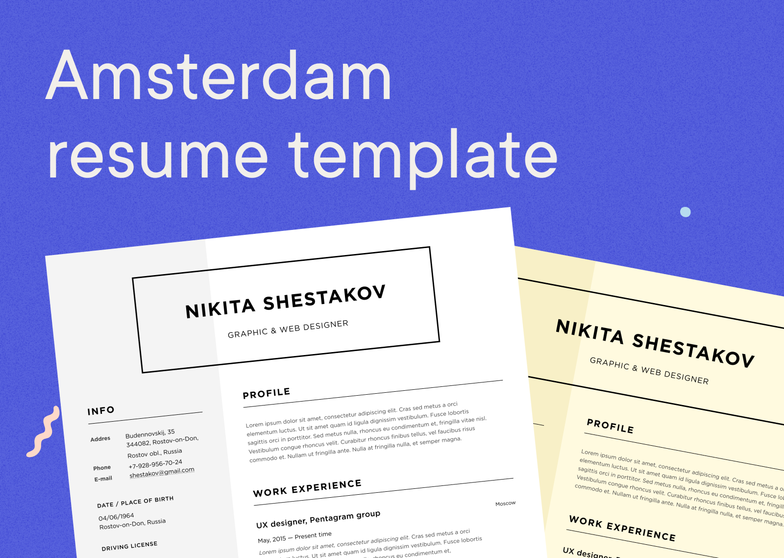 cv-templates-gratis-maak-een-perfect-resume-cvster-nl