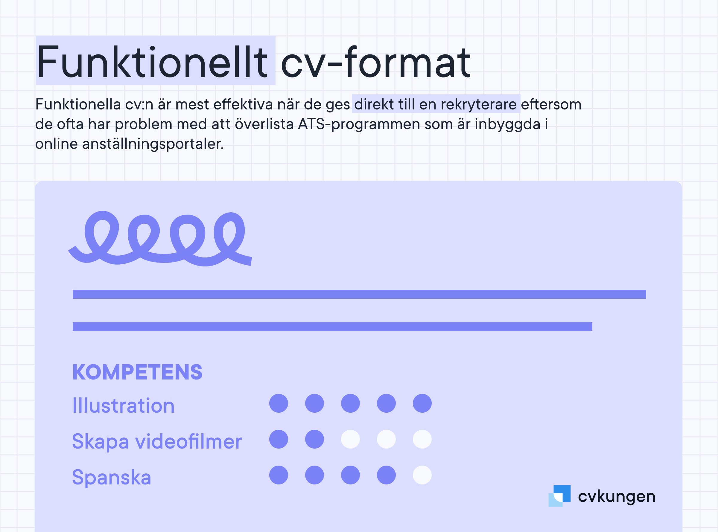 Funktionellt CV-format