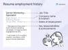 example resume employment history section example resume employment history section