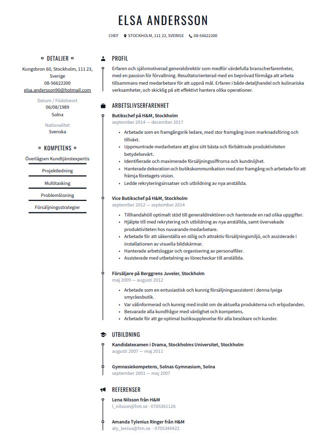 Framgångsrika professionella CV templates